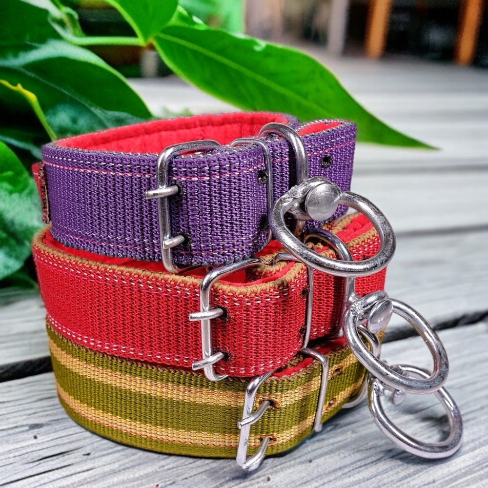 🐾 Tactical Style Unbreakable Dog Collar, New